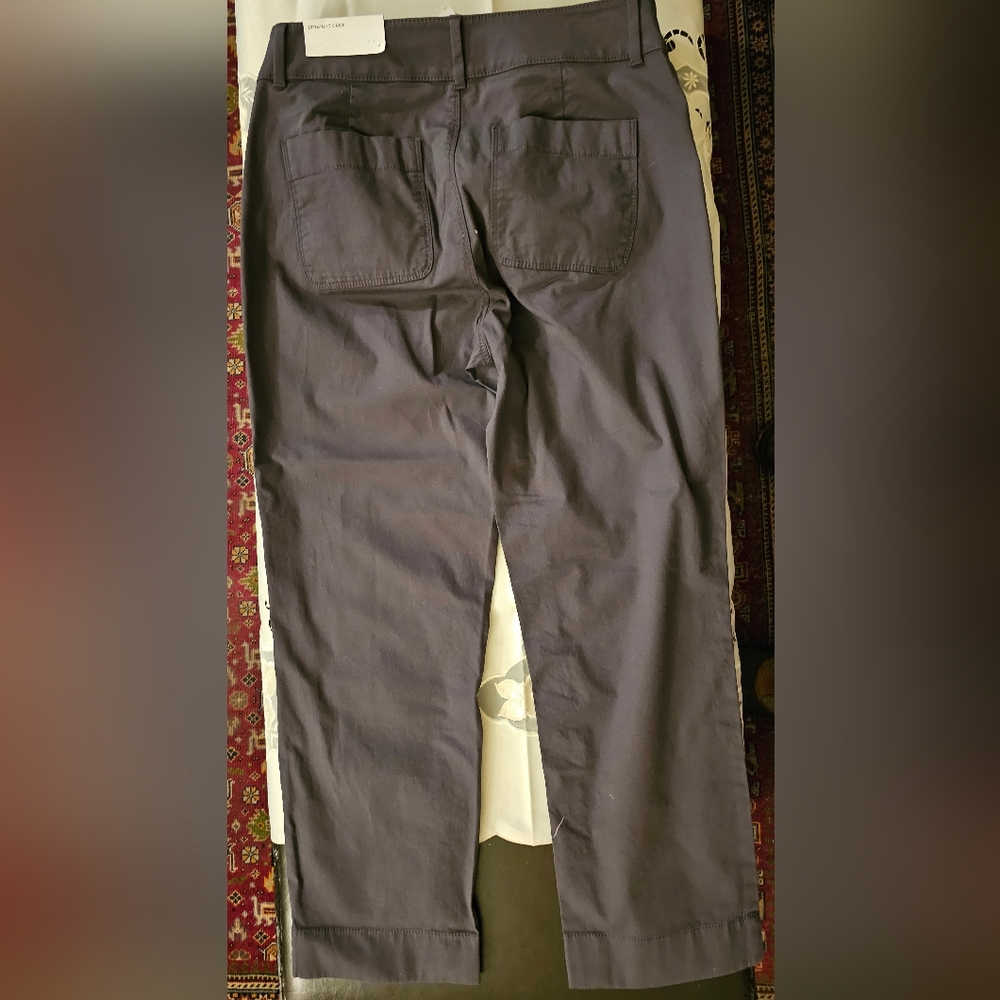 ANN TAYLOR LOFT PANTS